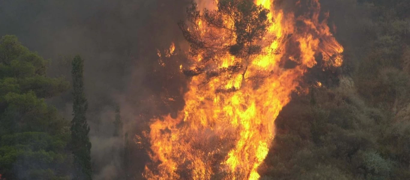 Φωτιά στα Τσουκαλαίικα Μεσσηνίας